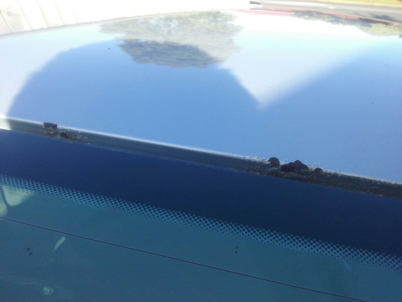 BMW E36 Roof Rust